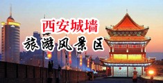 给我免费插逼视频中国陕西-西安城墙旅游风景区